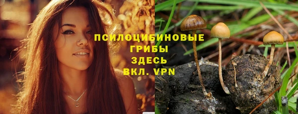 мдма Новозыбков