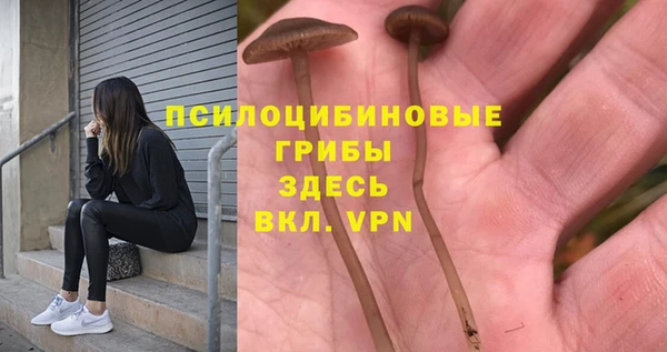 apvp Нягань