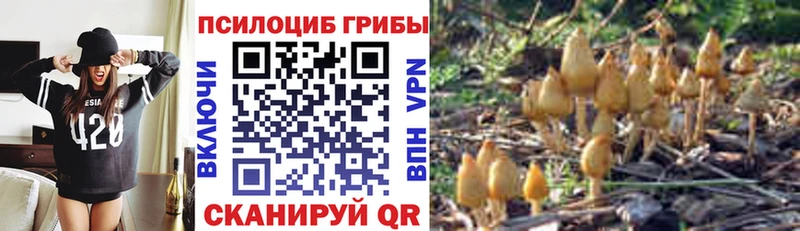 Галлюциногенные грибы ЛСД  что такое   mega ссылка  Починок 
